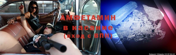 стаф Алзамай