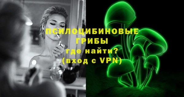 герыч Алексин
