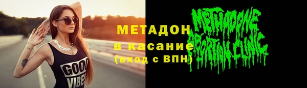 стаф Алзамай