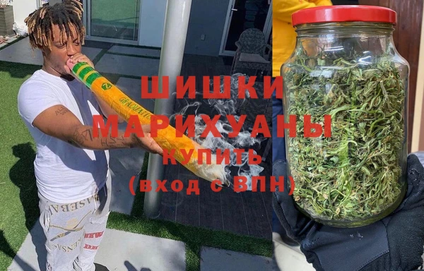 стаф Алзамай