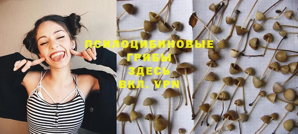 герыч Алексин
